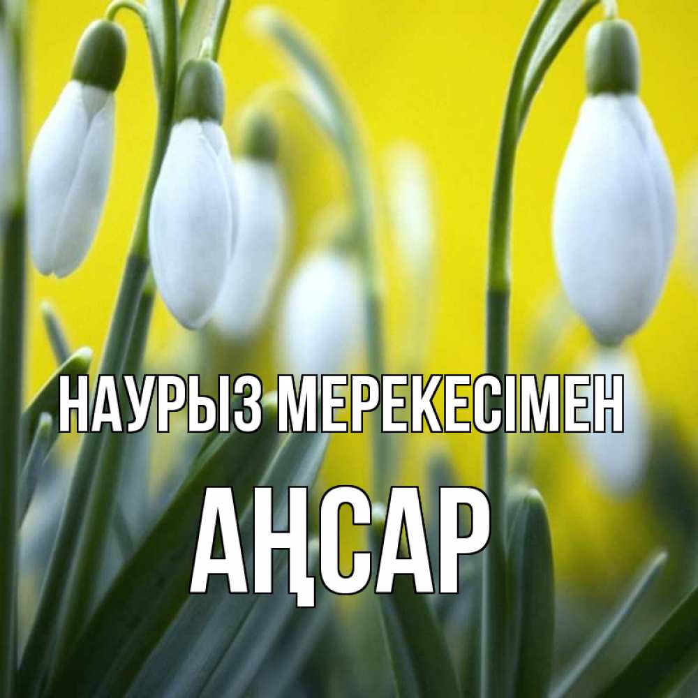 Күн сайын ашық хат с именем, Аңсар Наурыз мерекесімен весенние цветы Онлайн тегін жүктеп алу тілектері бар керемет карта 