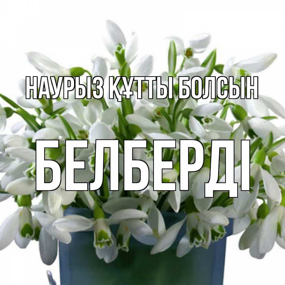Күн сайын ашық хат с именем, Белберді Наурыз құтты болсын цветы к наурызу Онлайн тегін жүктеп алу тілектері бар керемет карта 