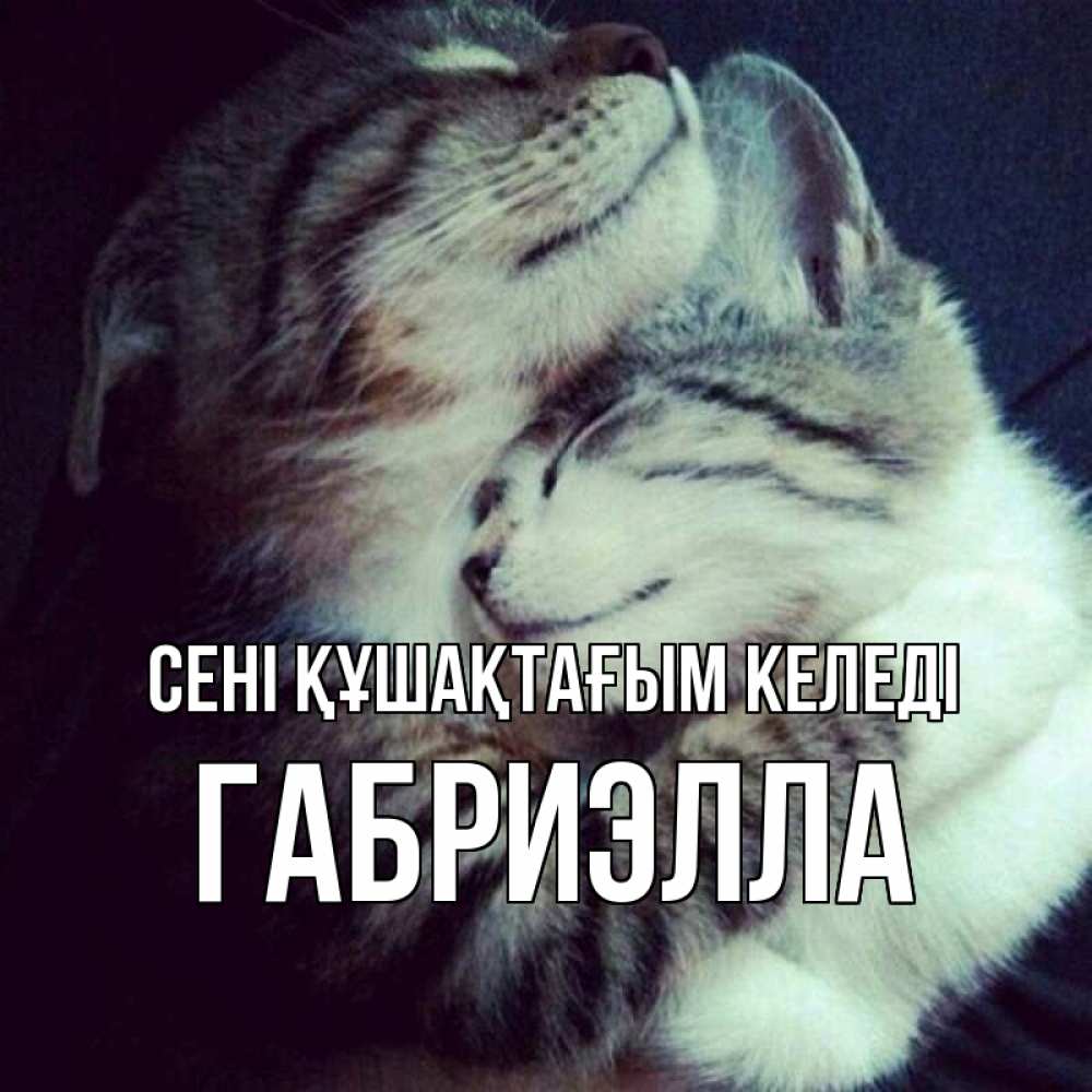 Күн сайын ашық хат с именем, Габриэлла сені құшақтағым келеді полосатики Онлайн тегін жүктеп алу тілектері бар керемет карта 