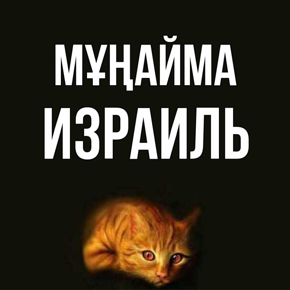 Күн сайын ашық хат с именем, Израиль Мұңайма лежащий кот в темноте Онлайн тегін жүктеп алу тілектері бар керемет карта 
