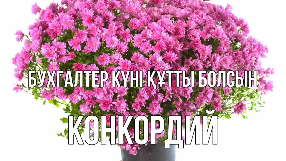 Күн сайын ашық хат с именем, Конкордий бухгалтер күні құтты болсын с днем бухгалтера Онлайн тегін жүктеп алу тілектері бар керемет карта 