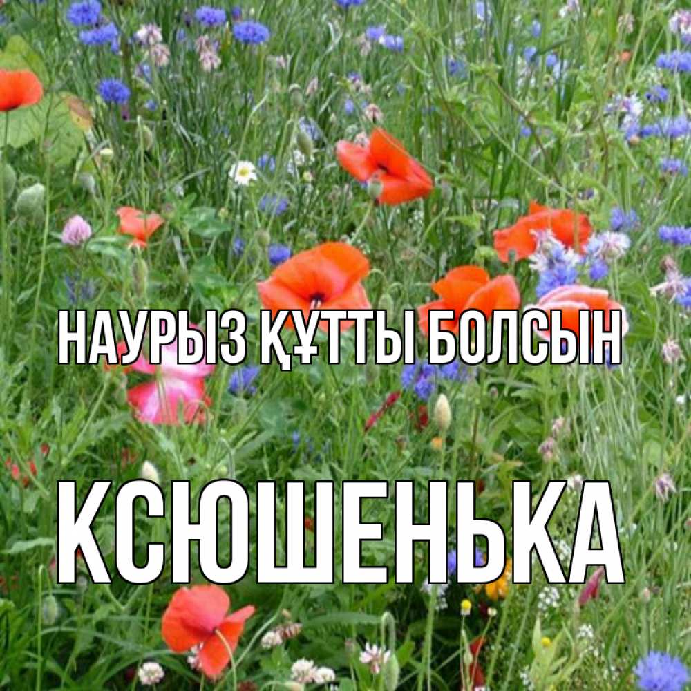 Күн сайын ашық хат с именем, Ксюшенька Наурыз құтты болсын наурыз  4 Онлайн тегін жүктеп алу тілектері бар керемет карта 