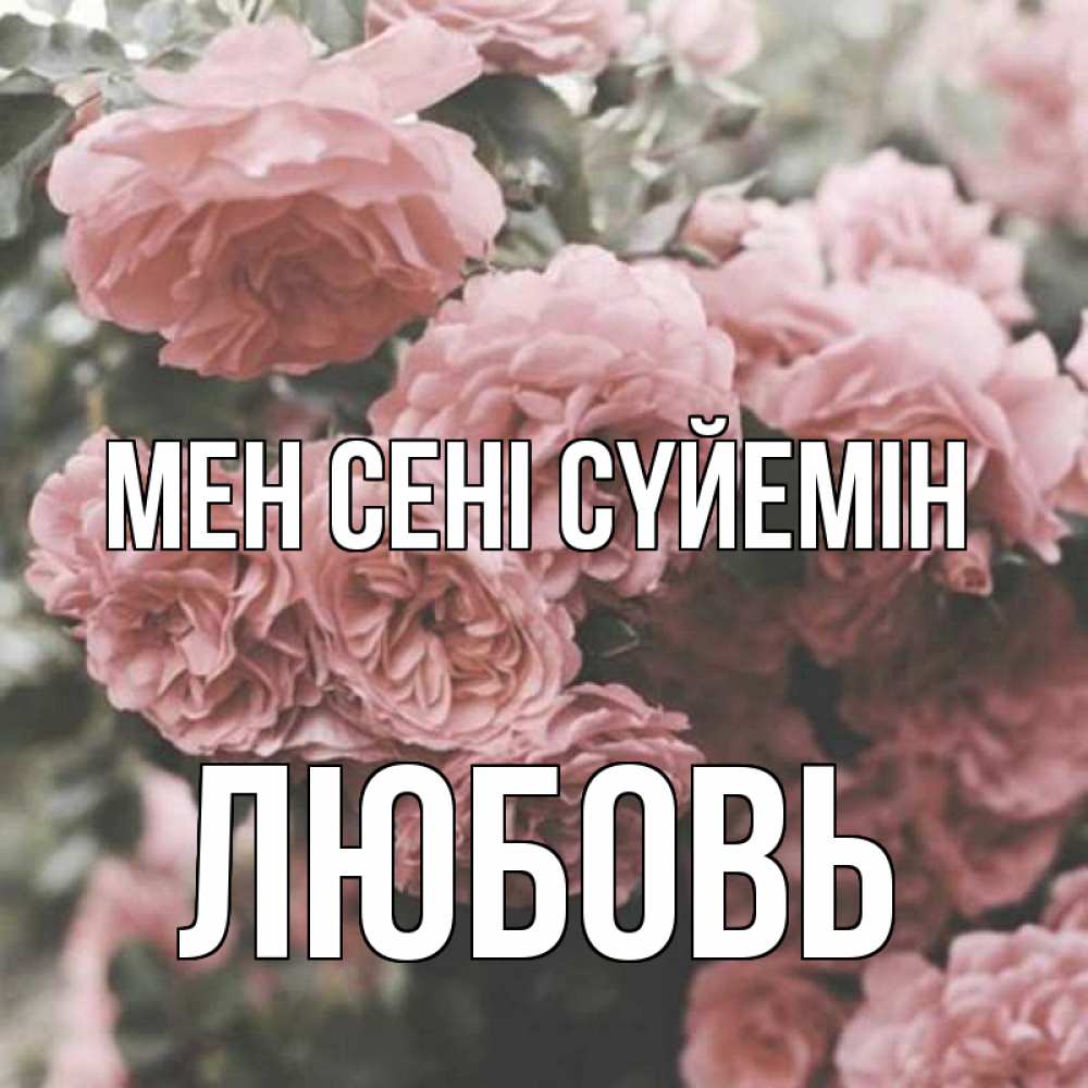 Күн сайын ашық хат с именем, Любовь Мен сені сүйемін розы 3 Онлайн тегін жүктеп алу тілектері бар керемет карта 