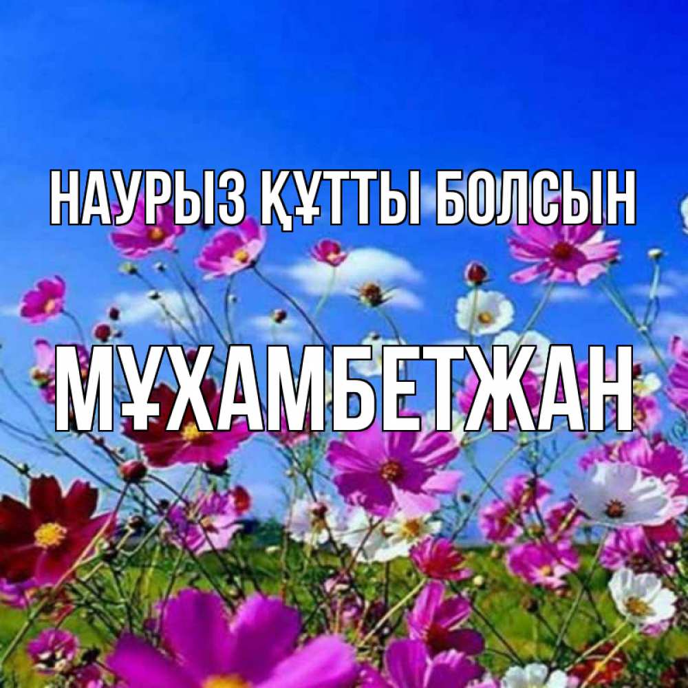 Күн сайын ашық хат с именем, МҰХАМБЕТЖАН Наурыз құтты болсын цветы Онлайн тегін жүктеп алу тілектері бар керемет карта 