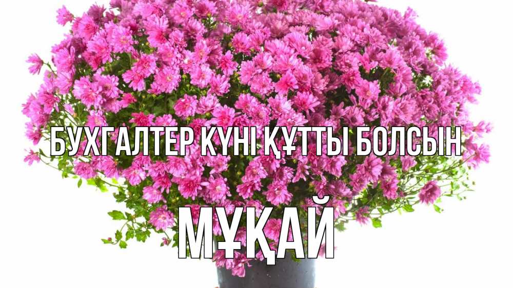 Күн сайын ашық хат с именем, Мұқай бухгалтер күні құтты болсын с днем бухгалтера Онлайн тегін жүктеп алу тілектері бар керемет карта 