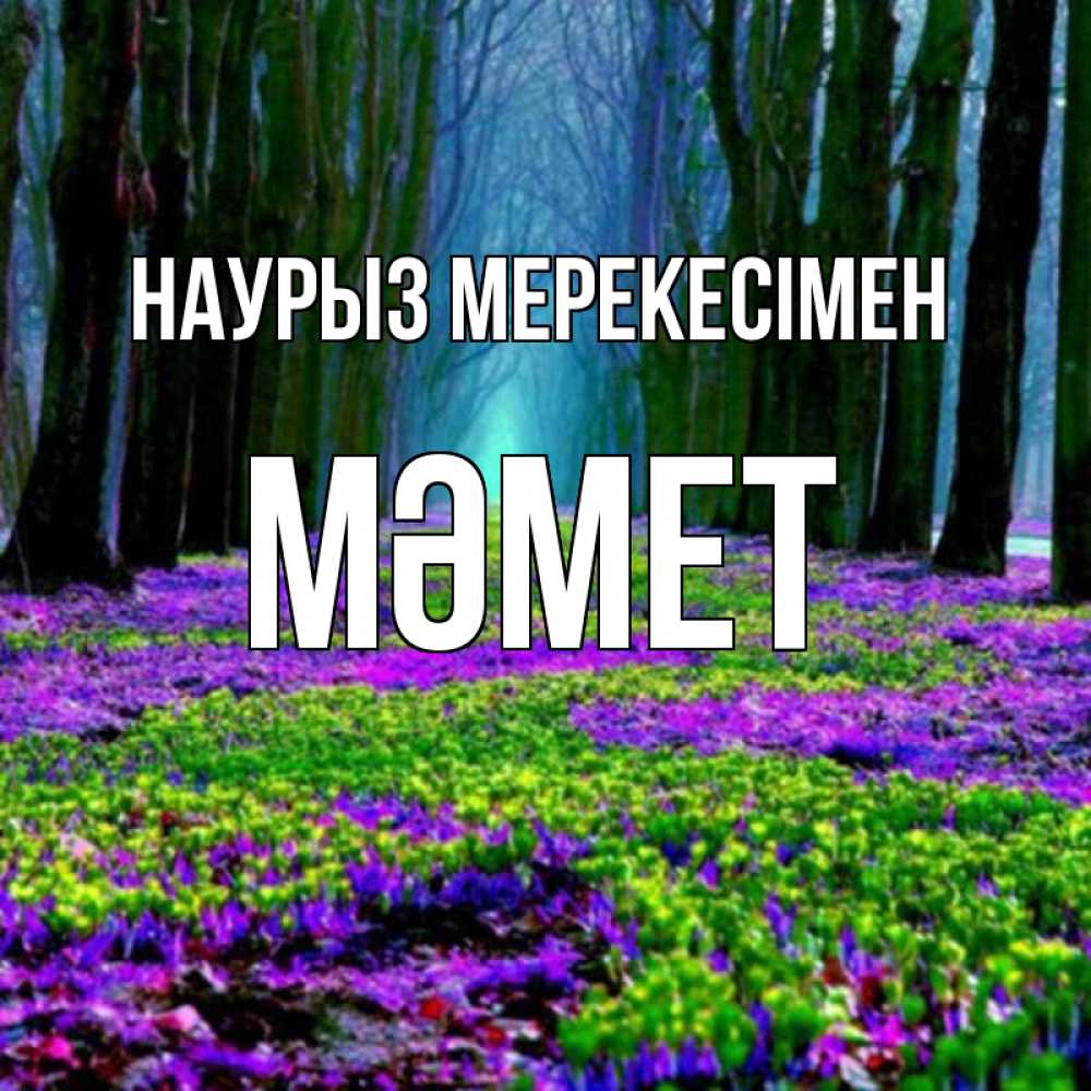 Күн сайын ашық хат с именем, Мәмет Наурыз мерекесімен фиолетовые цветы в лесу 1 Онлайн тегін жүктеп алу тілектері бар керемет карта 