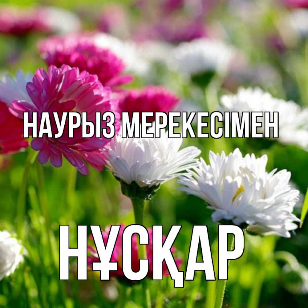 Күн сайын ашық хат с именем, НҰСҚАР Наурыз мерекесімен праздник весны наурыз красота Онлайн тегін жүктеп алу тілектері бар керемет карта 