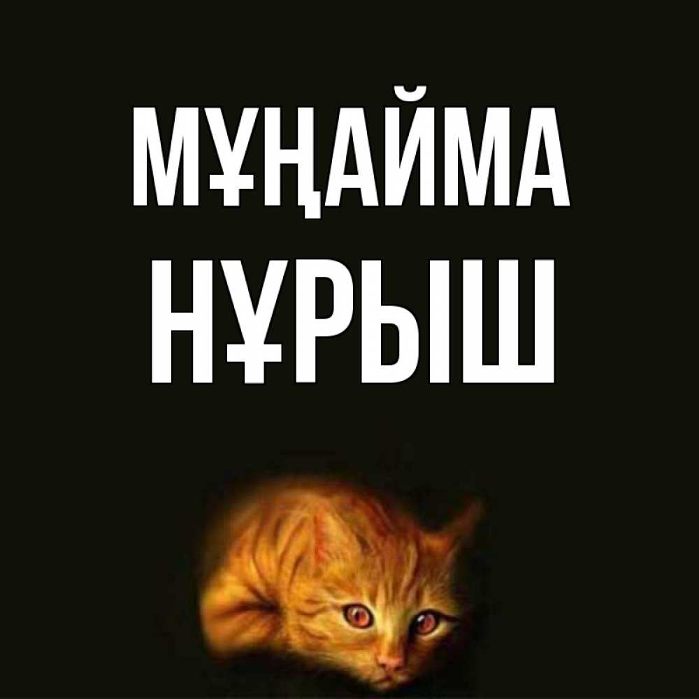 Күн сайын ашық хат с именем, Нұрыш Мұңайма лежащий кот в темноте Онлайн тегін жүктеп алу тілектері бар керемет карта 