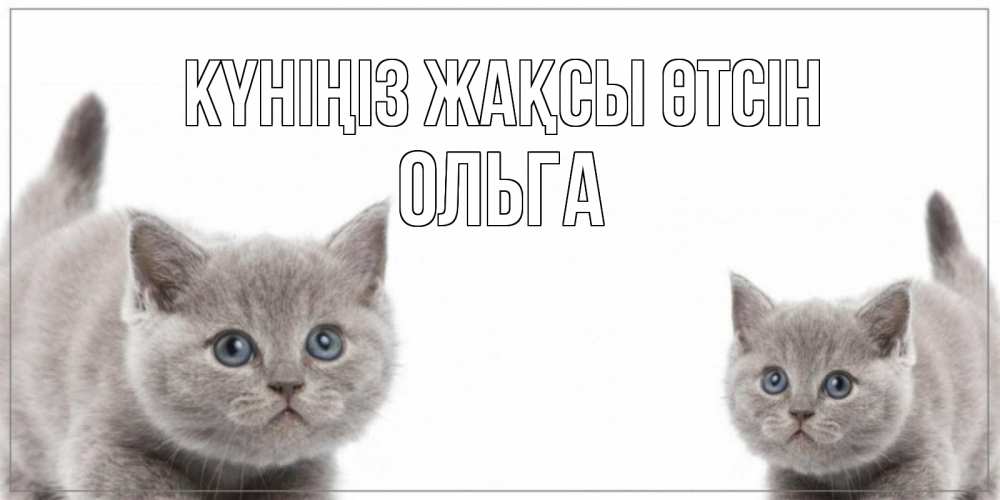 Күн сайын ашық хат с именем, Ольга Күніңіз жақсы өтсін открытка с котами Онлайн тегін жүктеп алу тілектері бар керемет карта 