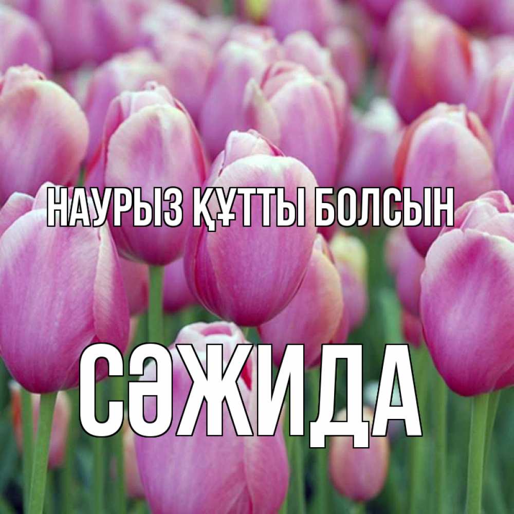 Күн сайын ашық хат с именем, СӘЖИДА Наурыз құтты болсын на наурыз  день 3 Онлайн тегін жүктеп алу тілектері бар керемет карта 