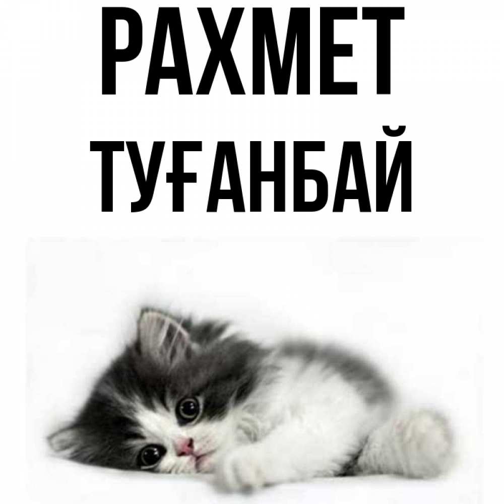 Күн сайын ашық хат с именем, ТУҒАНБАЙ рахмет черный и белый кот Онлайн тегін жүктеп алу тілектері бар керемет карта 