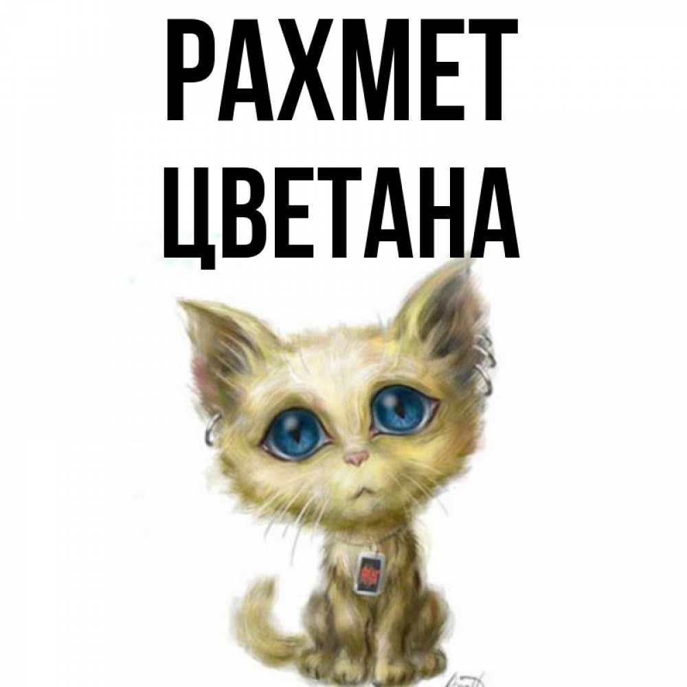 Күн сайын ашық хат с именем, Цветана рахмет рисованный кот благодарит вас Онлайн тегін жүктеп алу тілектері бар керемет карта 
