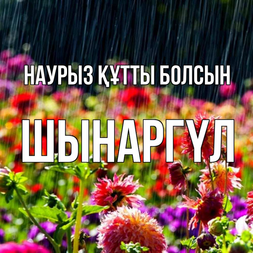 Күн сайын ашық хат с именем, ШЫНАРГҮЛ Наурыз құтты болсын цветы под дождиком к наурызу Онлайн тегін жүктеп алу тілектері бар керемет карта 