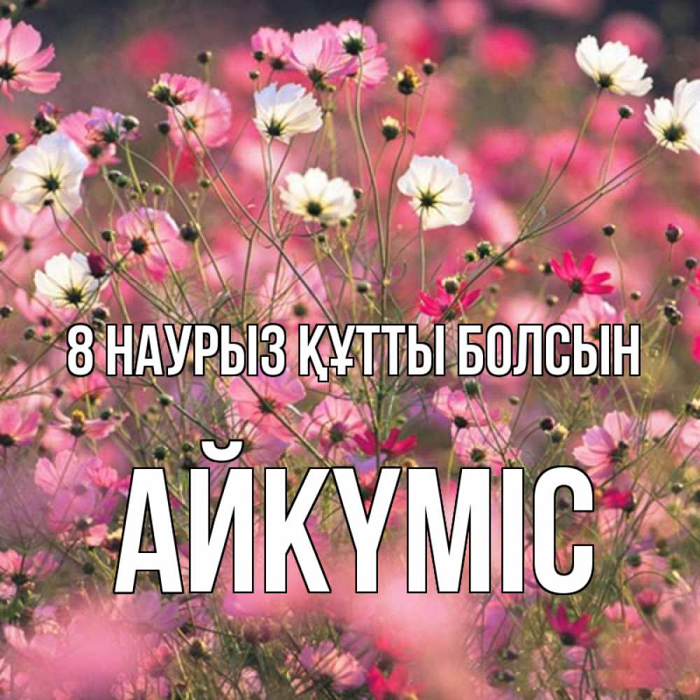 Күн сайын ашық хат с именем, АЙКҮМІС 8 наурыз құтты болсын красиво 1 Онлайн тегін жүктеп алу тілектері бар керемет карта 