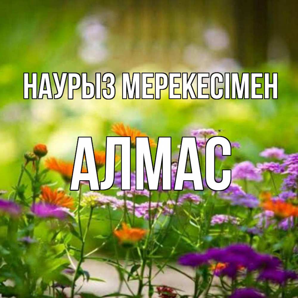 Күн сайын ашық хат с именем, Алмас Наурыз мерекесімен цветы Онлайн тегін жүктеп алу тілектері бар керемет карта 