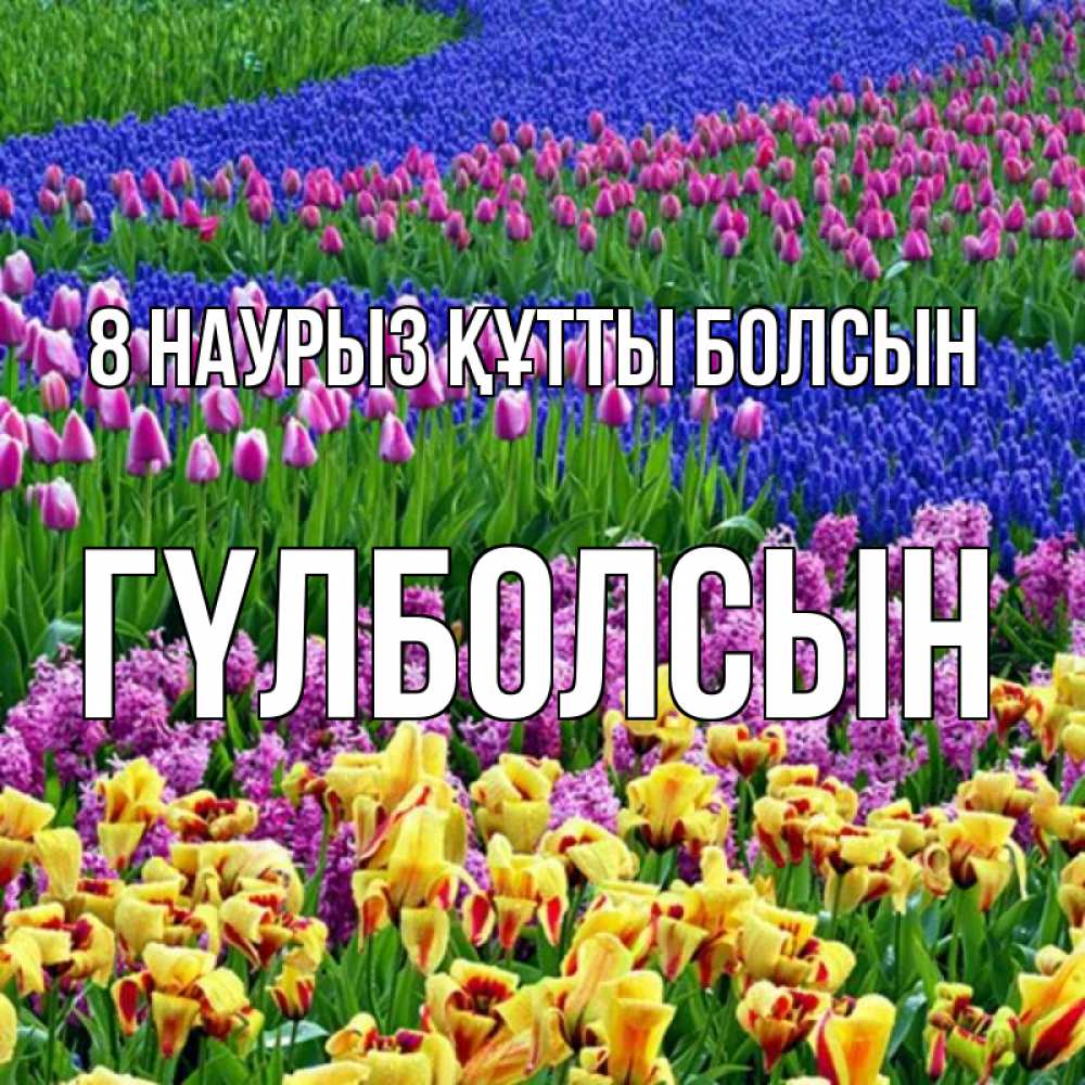 Күн сайын ашық хат с именем, ГҮЛБОЛСЫН 8 наурыз құтты болсын цветы Онлайн тегін жүктеп алу тілектері бар керемет карта 