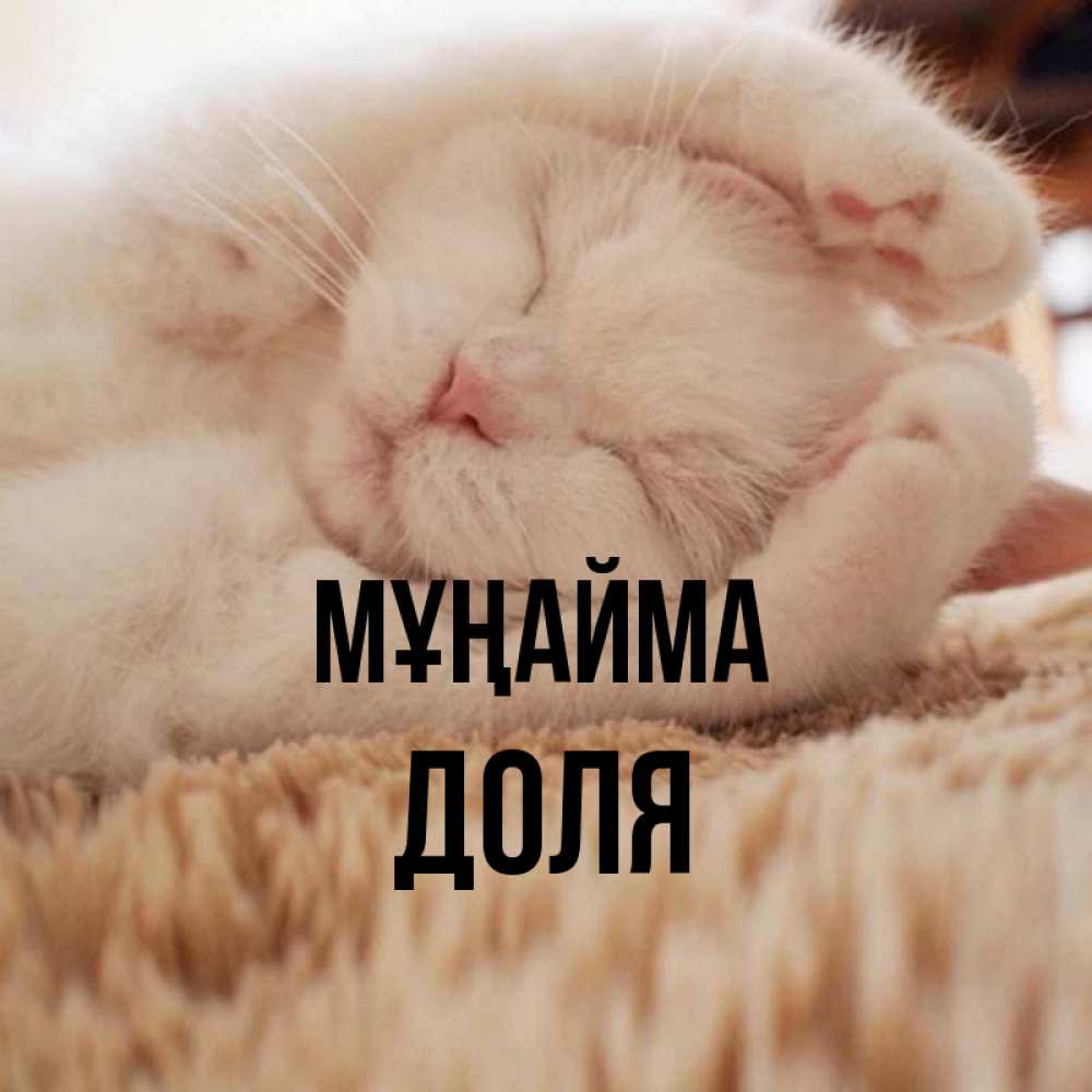 Күн сайын ашық хат с именем, Доля Мұңайма Котенок спит Онлайн тегін жүктеп алу тілектері бар керемет карта 