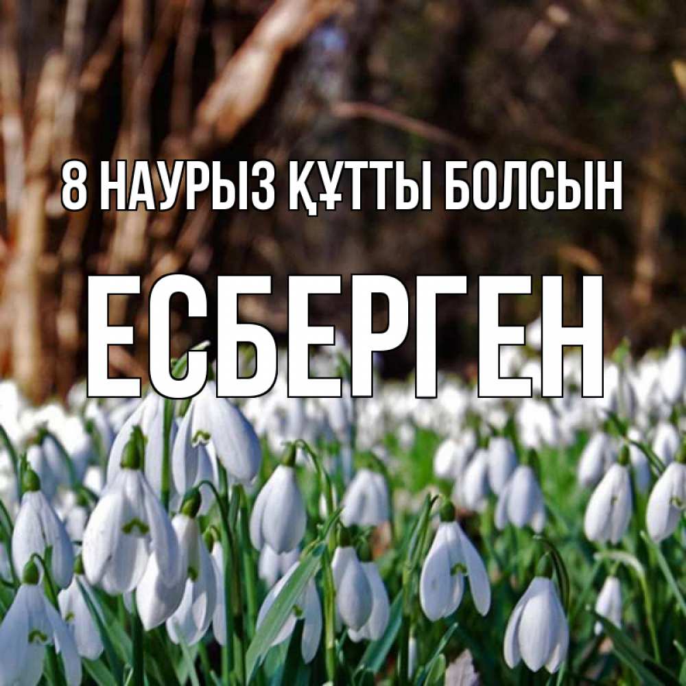 Күн сайын ашық хат с именем, Есберген 8 наурыз құтты болсын с подснежниками 1 Онлайн тегін жүктеп алу тілектері бар керемет карта 