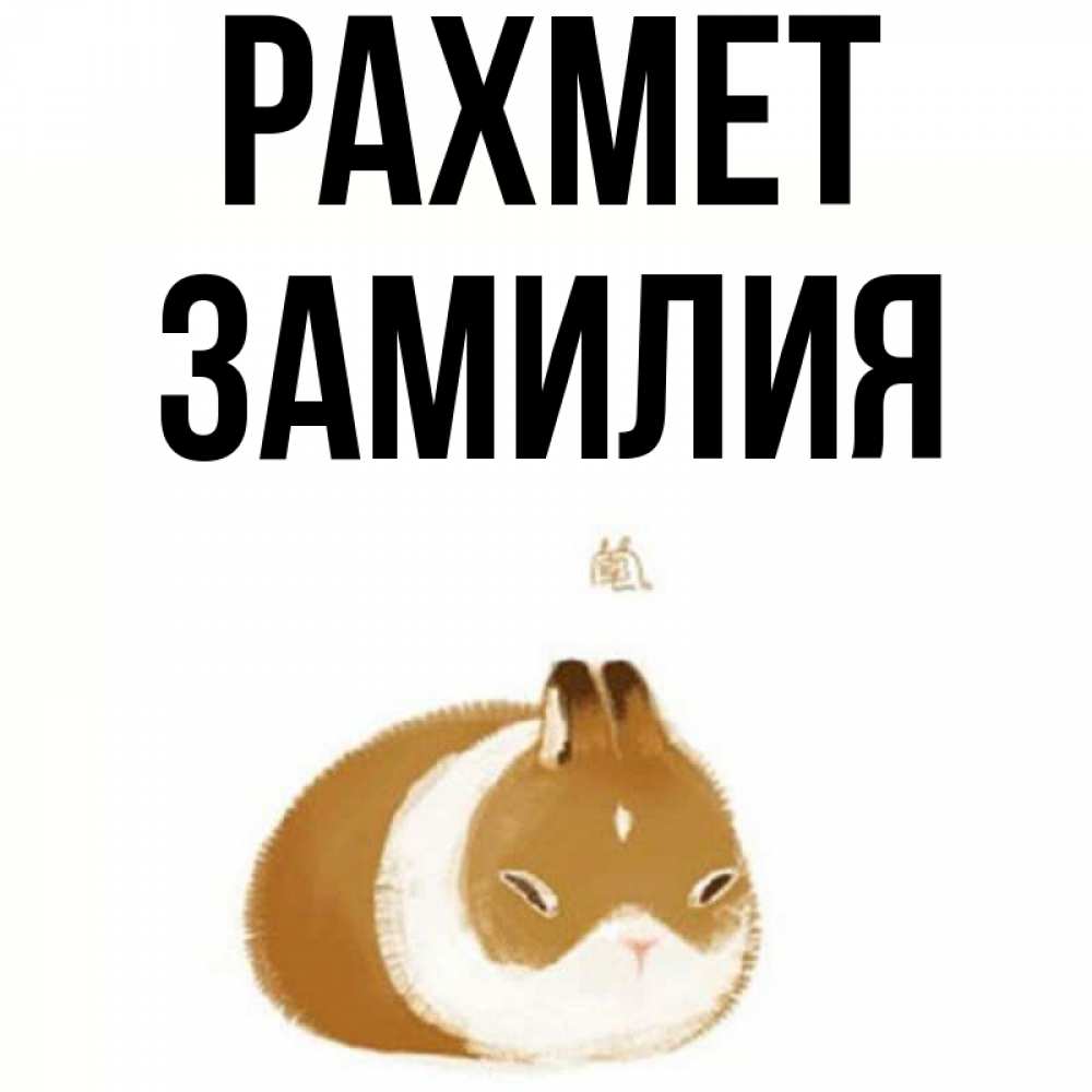 Күн сайын ашық хат с именем, ЗАМИЛИЯ рахмет коричнево белый домашний питомец Онлайн тегін жүктеп алу тілектері бар керемет карта 