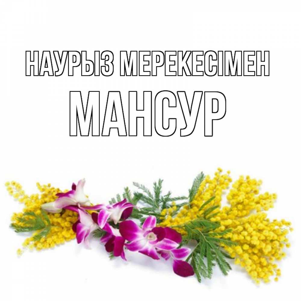 Күн сайын ашық хат с именем, Мансур Наурыз мерекесімен открытка на международный женский день с цветами  1 Онлайн тегін жүктеп алу тілектері бар керемет карта 