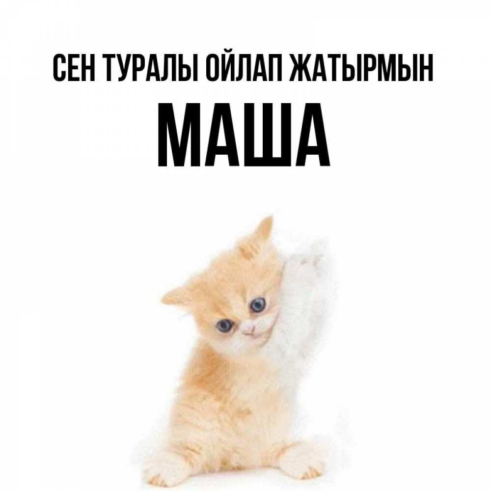 Күн сайын ашық хат с именем, Маша Сен туралы ойлап жатырмын зверушки и милота Онлайн тегін жүктеп алу тілектері бар керемет карта 