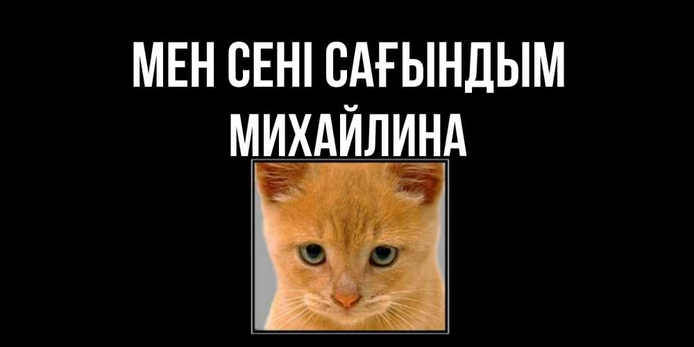 Күн сайын ашық хат с именем, Михайлина Мен сені сағындым открытки рыжий котенок скучает по тебе Онлайн тегін жүктеп алу тілектері бар керемет карта 