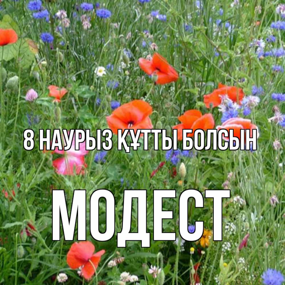 Күн сайын ашық хат с именем, Модест 8 наурыз құтты болсын международный женский день 4 Онлайн тегін жүктеп алу тілектері бар керемет карта 