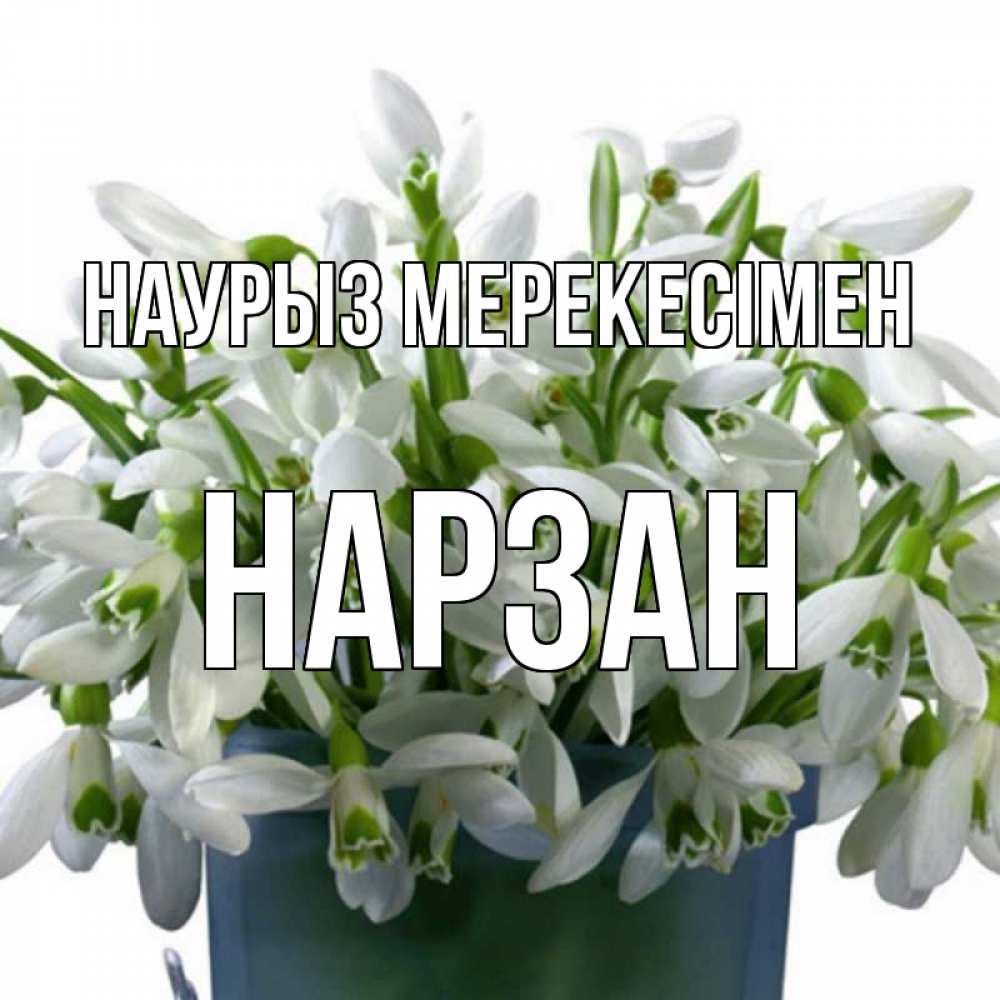 Күн сайын ашық хат с именем, НАРЗАН Наурыз мерекесімен цветы к наурызу новый год в Казахстане Онлайн тегін жүктеп алу тілектері бар керемет карта 
