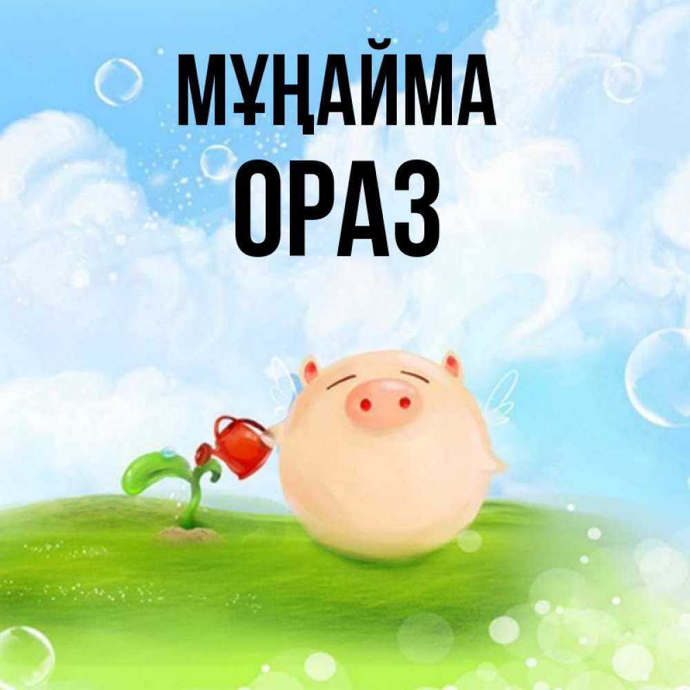 Күн сайын ашық хат с именем, ОРАЗ Мұңайма поливает цветок порося Онлайн тегін жүктеп алу тілектері бар керемет карта 