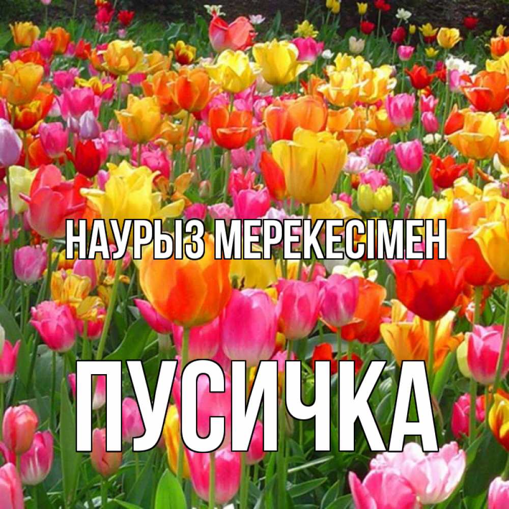 Күн сайын ашық хат с именем, Пусичка Наурыз мерекесімен праздник весны наурыз 4 Онлайн тегін жүктеп алу тілектері бар керемет карта 