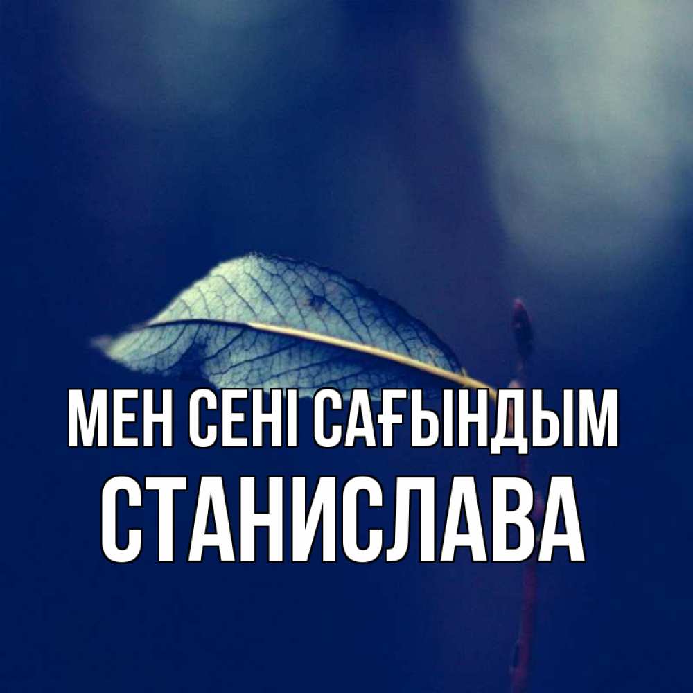Күн сайын ашық хат с именем, Станислава Мен сені сағындым одна ветка 1 Онлайн тегін жүктеп алу тілектері бар керемет карта 