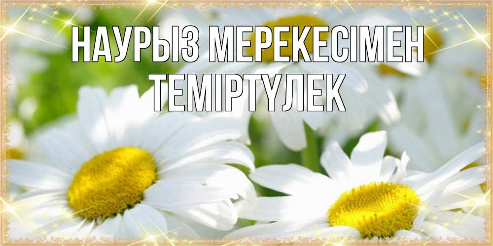 Күн сайын ашық хат с именем, ТЕМІРТҮЛЕК Наурыз мерекесімен красивые открытки с белыми цветами на международный женский день Онлайн тегін жүктеп алу тілектері бар керемет карта 