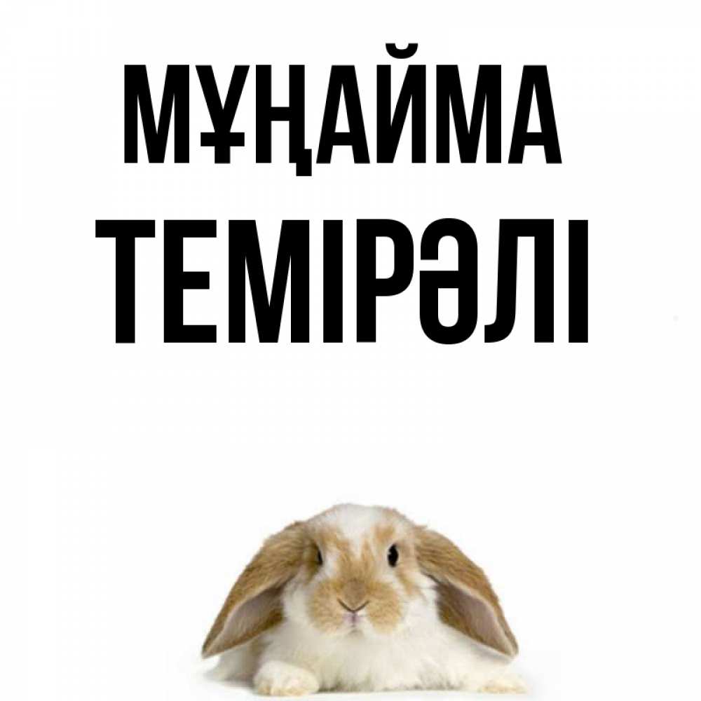 Күн сайын ашық хат с именем, ТЕМІРӘЛІ Мұңайма коричнево белый заяц с большими ушками Онлайн тегін жүктеп алу тілектері бар керемет карта 