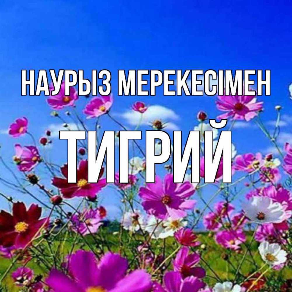 Күн сайын ашық хат с именем, Тигрий Наурыз мерекесімен цветы Онлайн тегін жүктеп алу тілектері бар керемет карта 