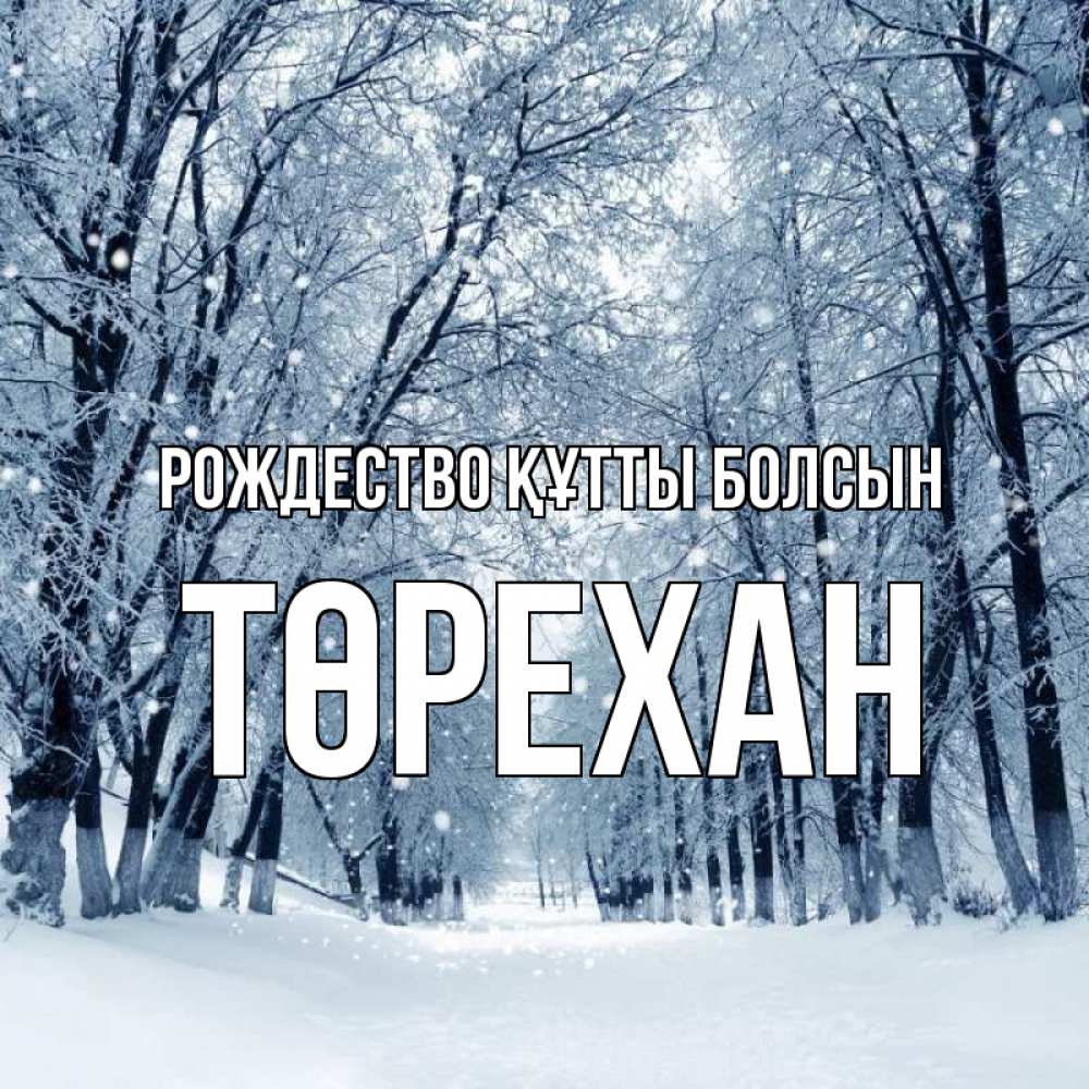 Күн сайын ашық хат с именем, Төрехан Рождество құтты болсын снег, лес, парк Онлайн тегін жүктеп алу тілектері бар керемет карта 