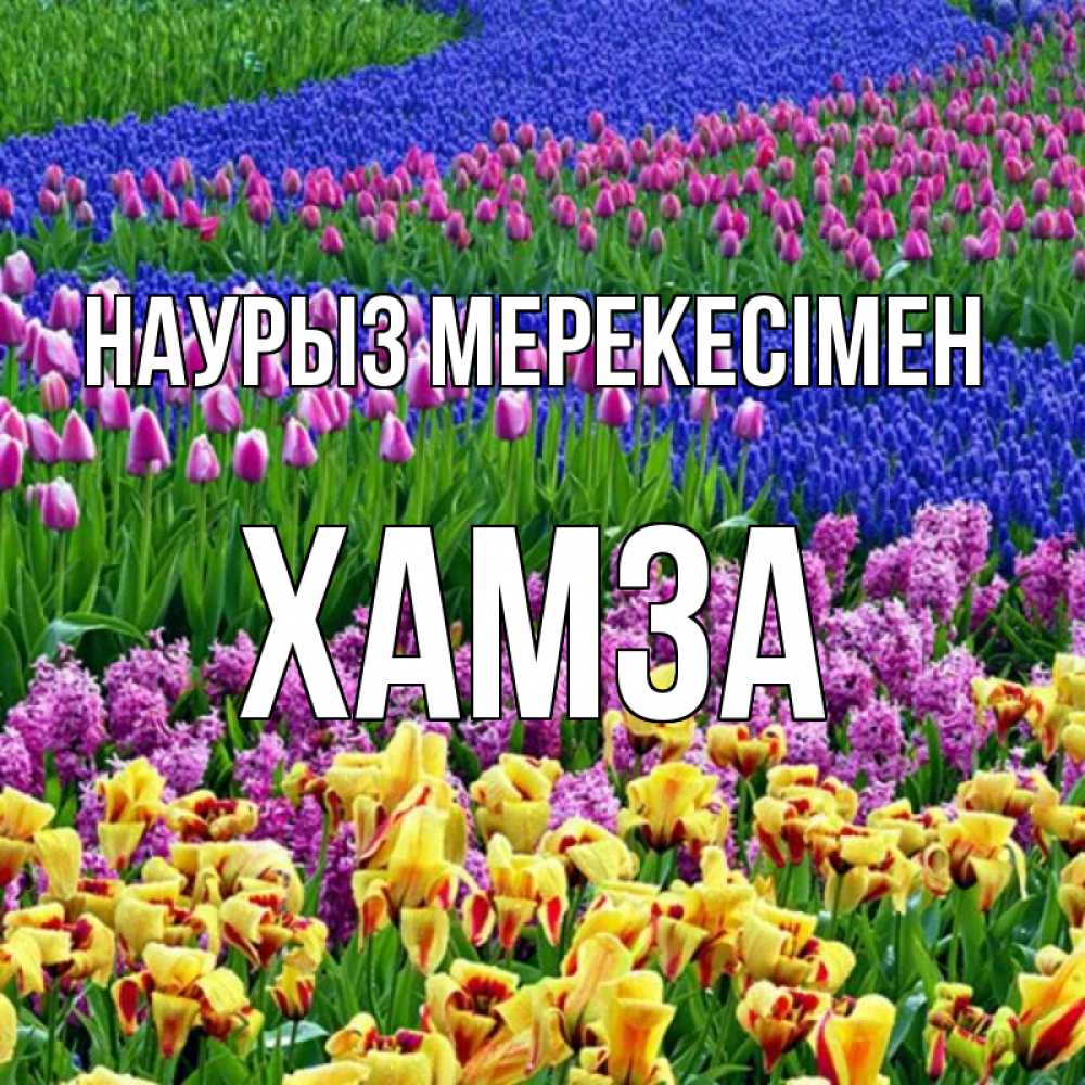 Күн сайын ашық хат с именем, ХАМЗА Наурыз мерекесімен цветы Онлайн тегін жүктеп алу тілектері бар керемет карта 