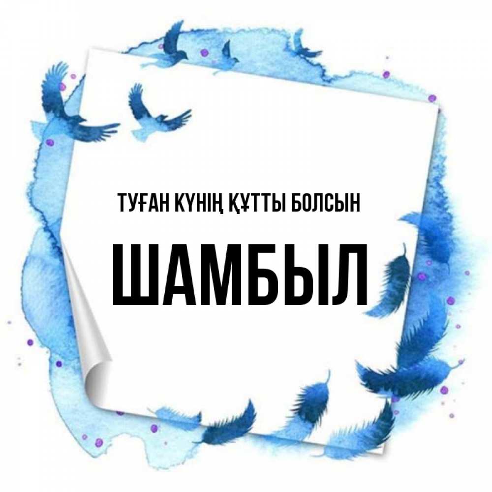 Күн сайын ашық хат с именем, ШАМБЫЛ Туған күнің құтты болсын красивые птицы летят Онлайн тегін жүктеп алу тілектері бар керемет карта 