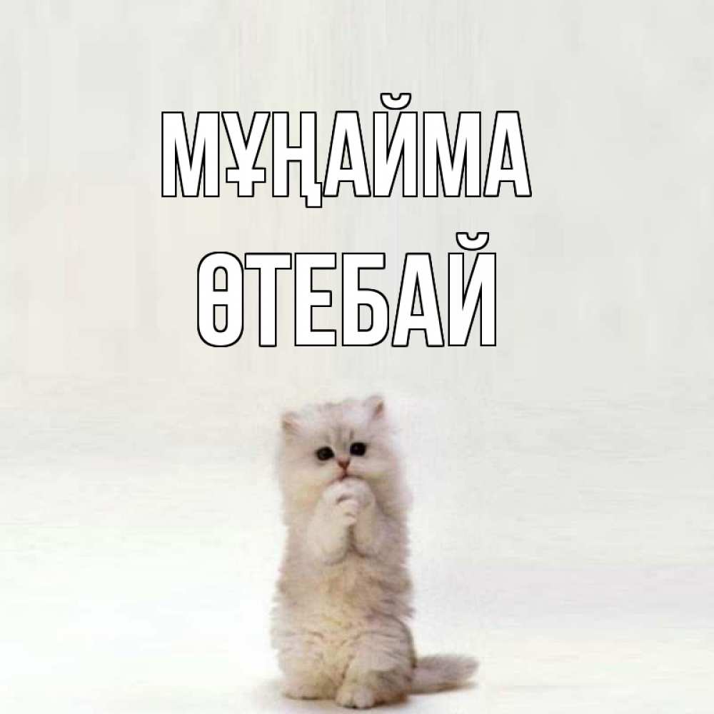 Күн сайын ашық хат с именем, ӨТЕБАЙ Мұңайма грустный кот Онлайн тегін жүктеп алу тілектері бар керемет карта 
