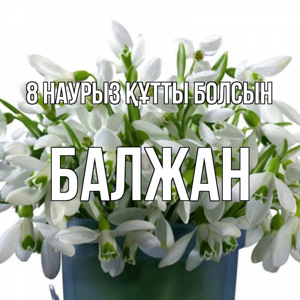 Күн сайын ашық хат с именем, БАЛЖАН 8 наурыз құтты болсын цветы к международному женскому дню Онлайн тегін жүктеп алу тілектері бар керемет карта 