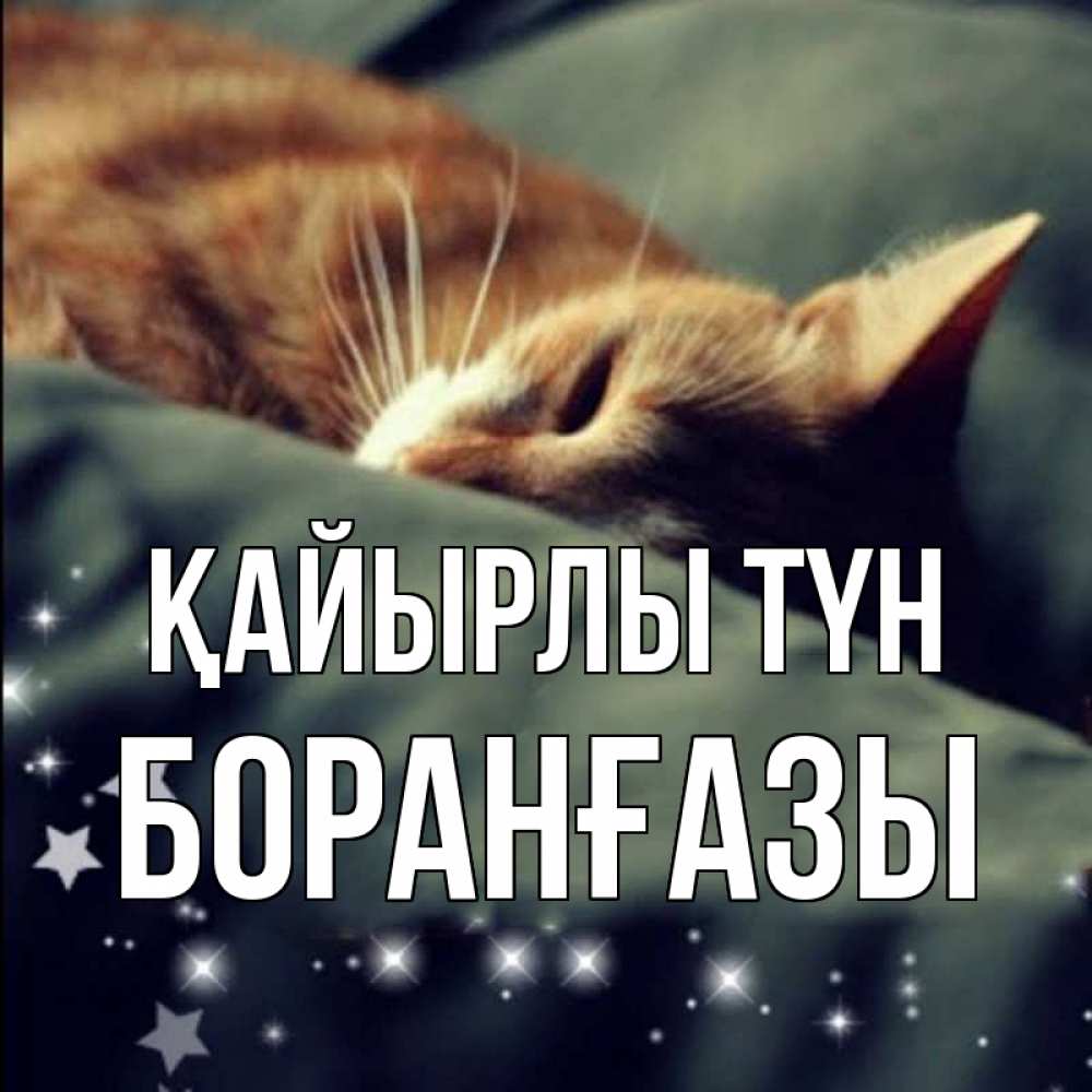 Күн сайын ашық хат с именем, Боранғазы Қайырлы түн кроватка Онлайн тегін жүктеп алу тілектері бар керемет карта 