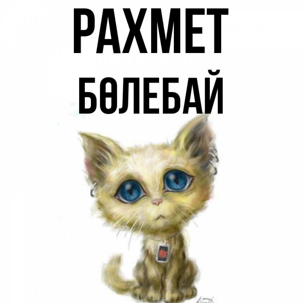Күн сайын ашық хат с именем, Бөлебай рахмет рисованный кот благодарит вас Онлайн тегін жүктеп алу тілектері бар керемет карта 
