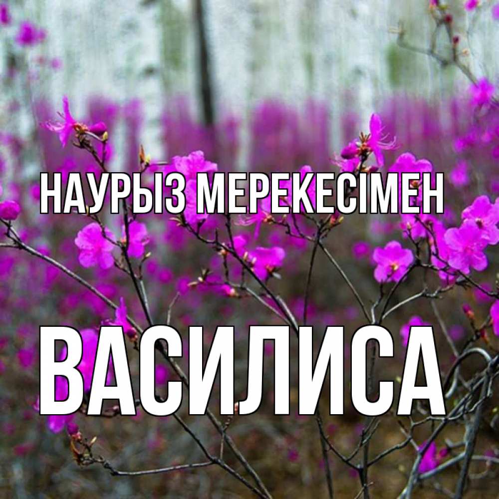 Күн сайын ашық хат с именем, Василиса Наурыз мерекесімен дикие цветы Онлайн тегін жүктеп алу тілектері бар керемет карта 
