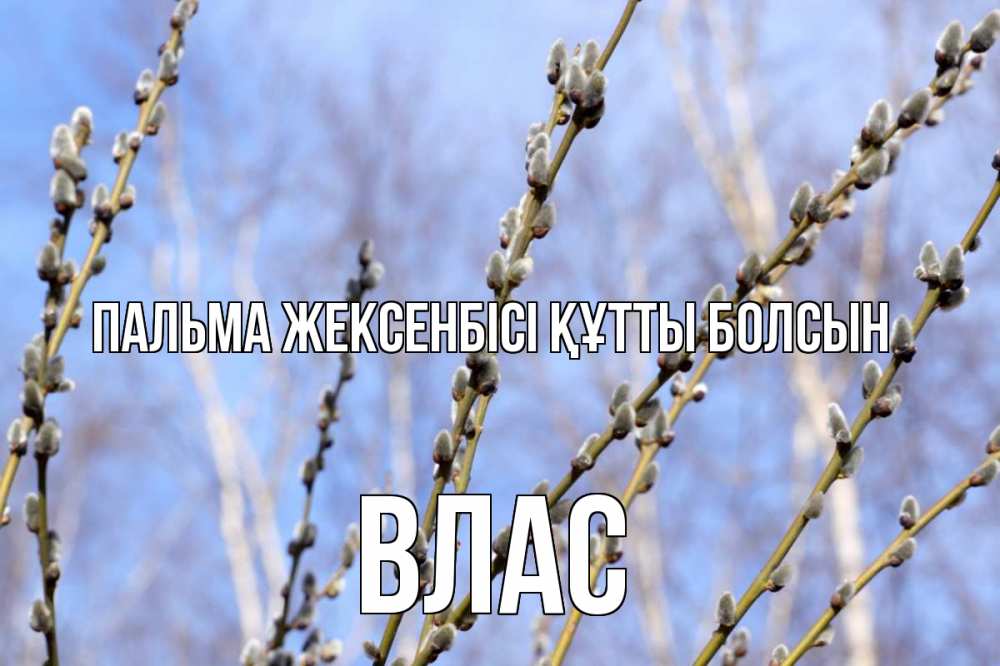 Күн сайын ашық хат с именем, Влас Пальма жексенбісі құтты болсын верба Онлайн тегін жүктеп алу тілектері бар керемет карта 