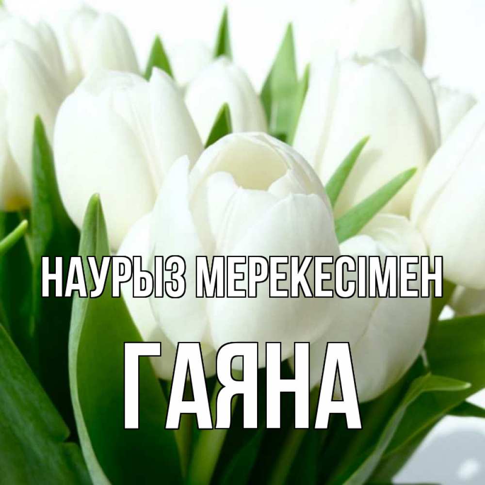 Күн сайын ашық хат с именем, ГАЯНА Наурыз мерекесімен цветы Онлайн тегін жүктеп алу тілектері бар керемет карта 
