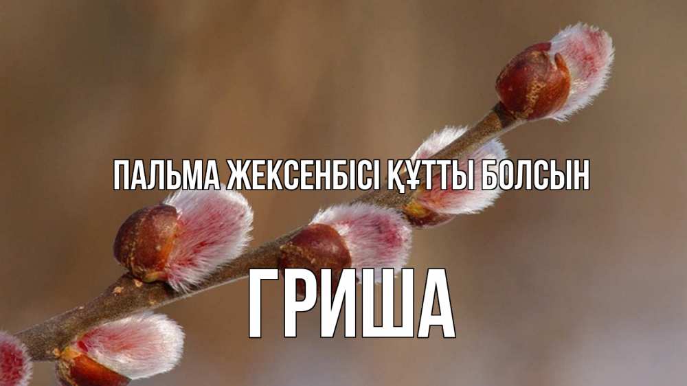 Күн сайын ашық хат с именем, Гриша Пальма жексенбісі құтты болсын верба Онлайн тегін жүктеп алу тілектері бар керемет карта 