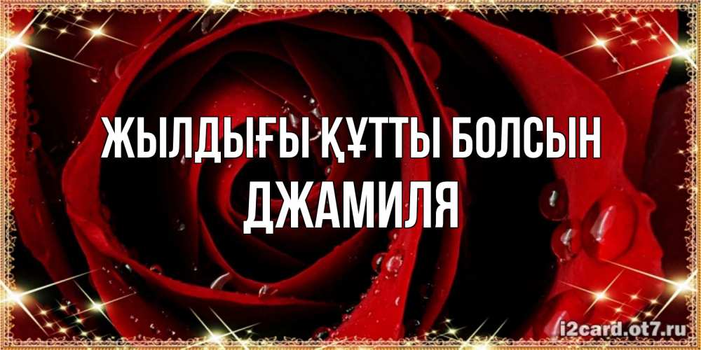 Күн сайын ашық хат с именем, Джамиля Жылдығы құтты болсын цветок в росе на день рождения Онлайн тегін жүктеп алу тілектері бар керемет карта 