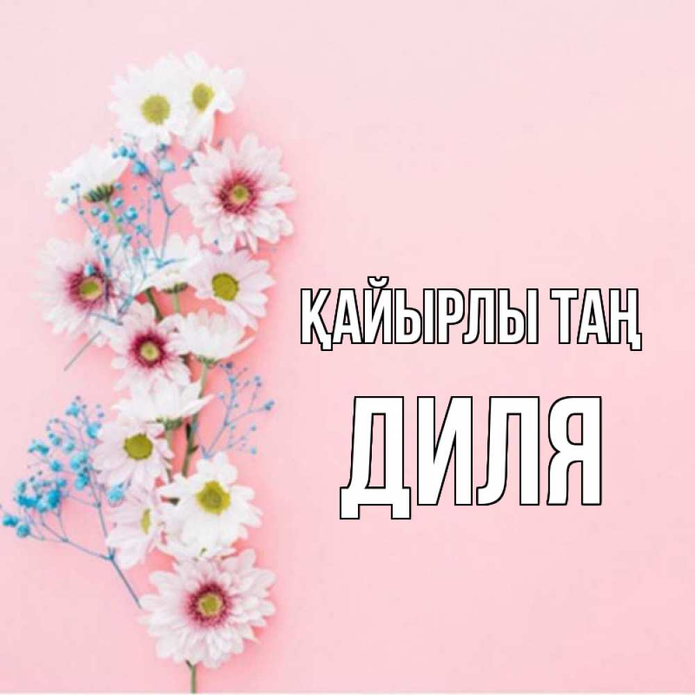 Күн сайын ашық хат с именем, Диля Қайырлы таң цветы с подписью Онлайн тегін жүктеп алу тілектері бар керемет карта 