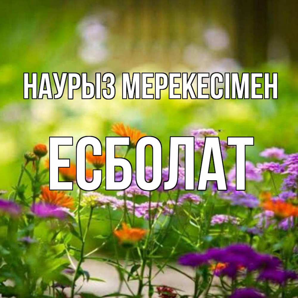 Күн сайын ашық хат с именем, Есболат Наурыз мерекесімен цветы Онлайн тегін жүктеп алу тілектері бар керемет карта 