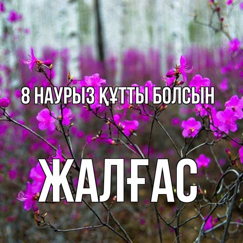 Күн сайын ашық хат с именем, Жалғас 8 наурыз құтты болсын дикие цветы Онлайн тегін жүктеп алу тілектері бар керемет карта 