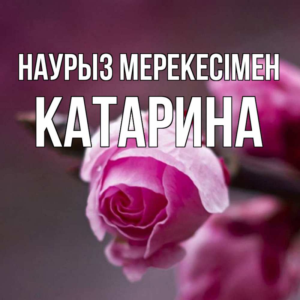Күн сайын ашық хат с именем, Катарина Наурыз мерекесімен весна Онлайн тегін жүктеп алу тілектері бар керемет карта 